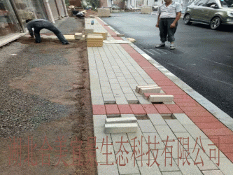 深圳南山區(qū)學(xué)府路人行道海綿